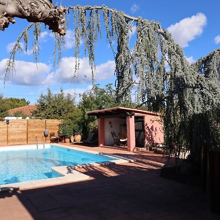 El Cedre Blau Vivienda Con Piscina En Granollers别墅 外观 照片